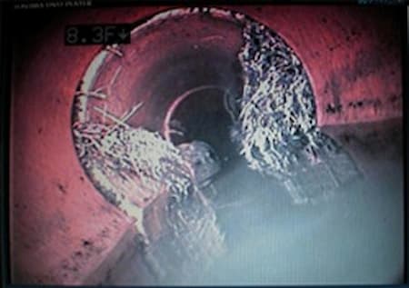 Camera Tree Root Removal